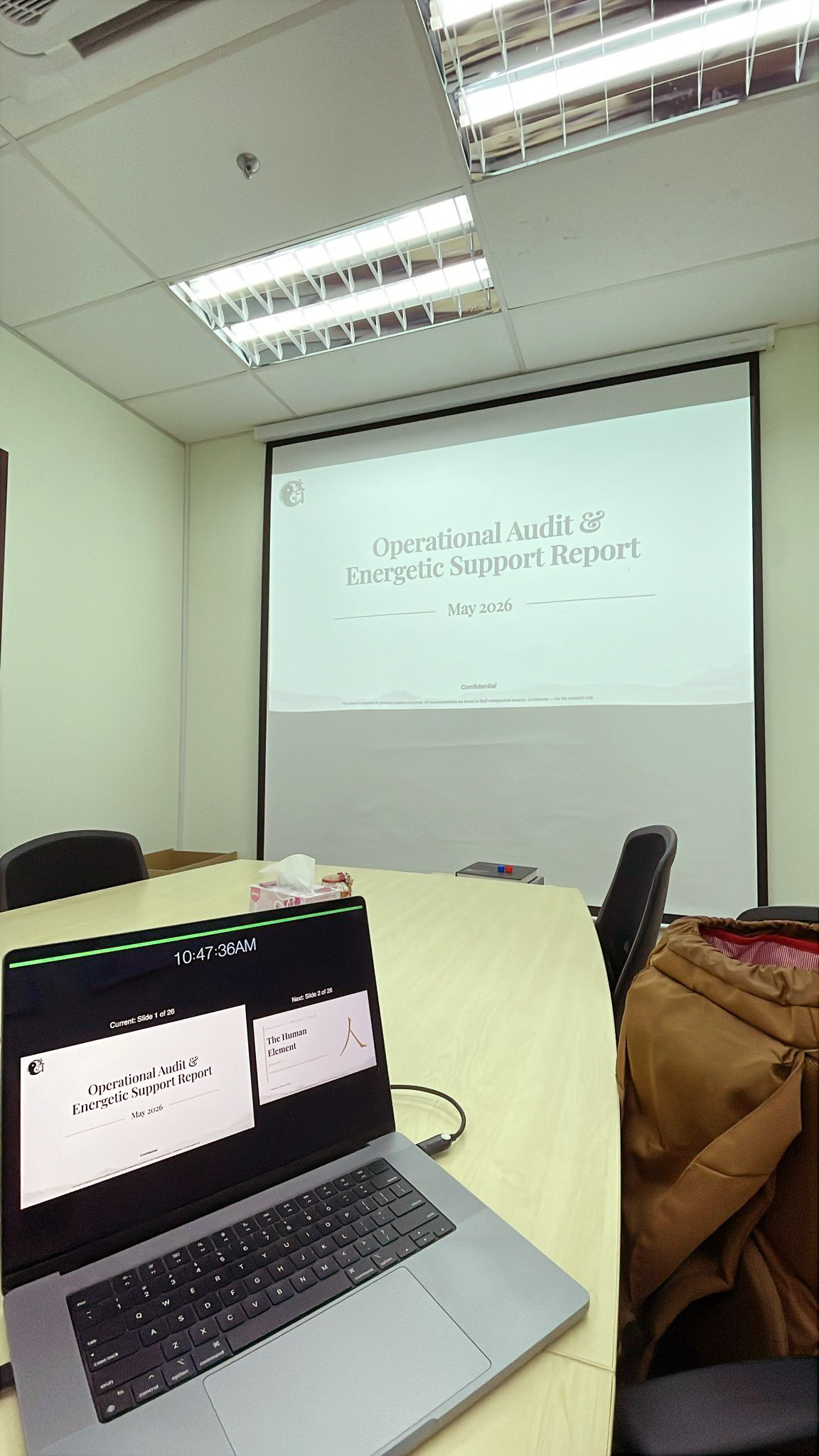 Business consultation presentation